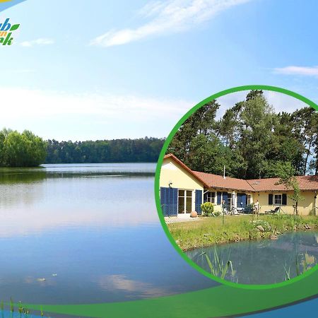 Familien-Suite-Im-Wald-Am-See Bork Exterior photo