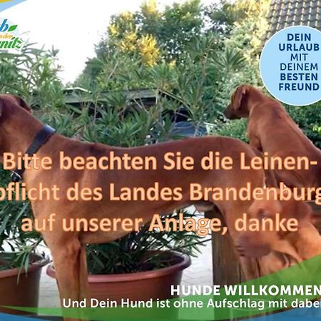 Familien-Suite-Im-Wald-Am-See Bork Exterior photo