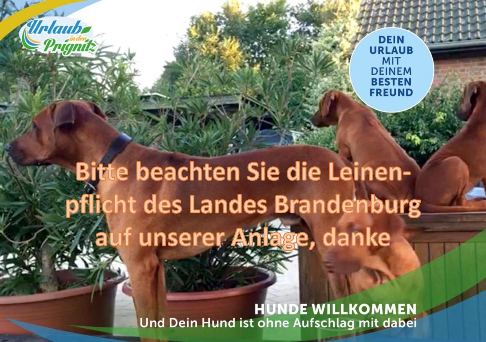 Familien-Suite-Im-Wald-Am-See Bork Exterior photo
